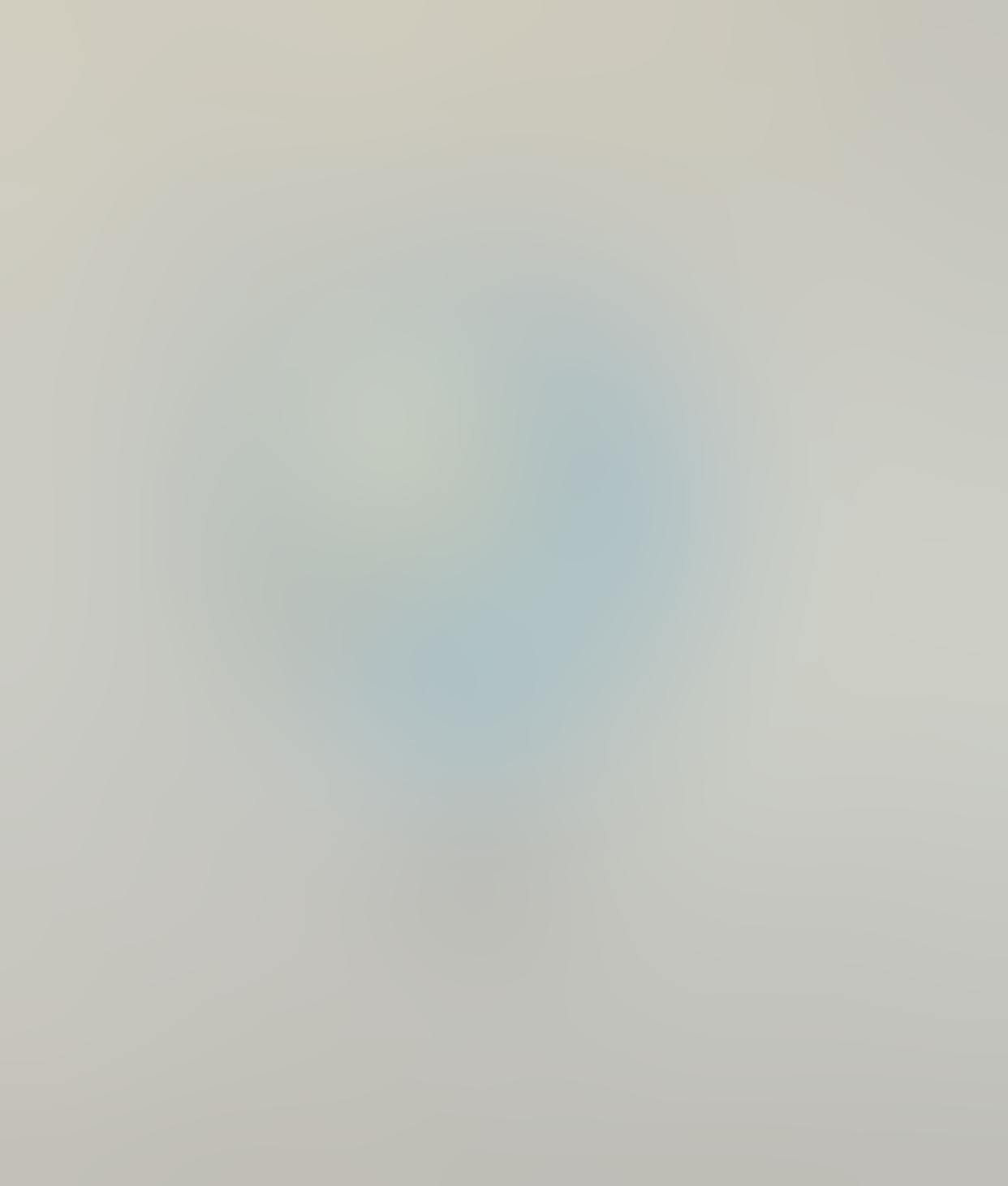 Александра Паперно/Натюрморт с глобусом из серии «Звездные карты»