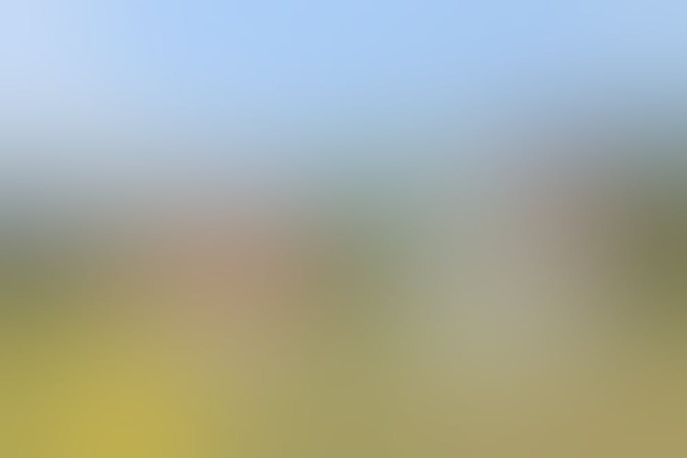 Паблик-арт объект Павла Пепперштейна на детском Архстоянии 2017